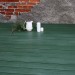 Террасная доска из ДПК Terrapol Практик моноколор Изумруд (под заказ) купить в Богородске